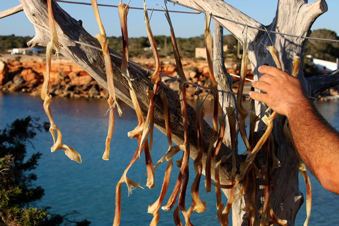 ‘Peix sec’, ‘greixonera’ y sal líquida, patrimonio gastronómico de Formentera