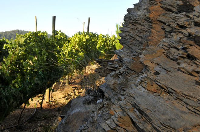 ‘Escaleras de Empedrado’, primer vino chileno de Bodegas Torres procedente de terrazas de pizarra