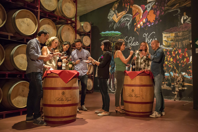 tardeo con la Ruta del Vino de Rioja Alavesa
