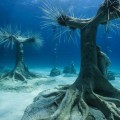 MUSAN, el nuevo bosque de escultura subacuática creado por Jason de Caires Taylor en Chipre