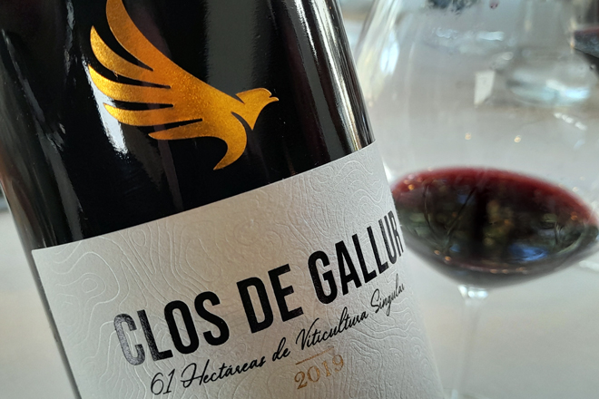 Clos de Gallur, el nuevo vino top de Bodegas Vicente Gandía, elegante, refinado y sofisticado