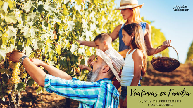 enoturismo, vendimia, Rioja Alavesa, en familia, bodegas, pisar uvas,