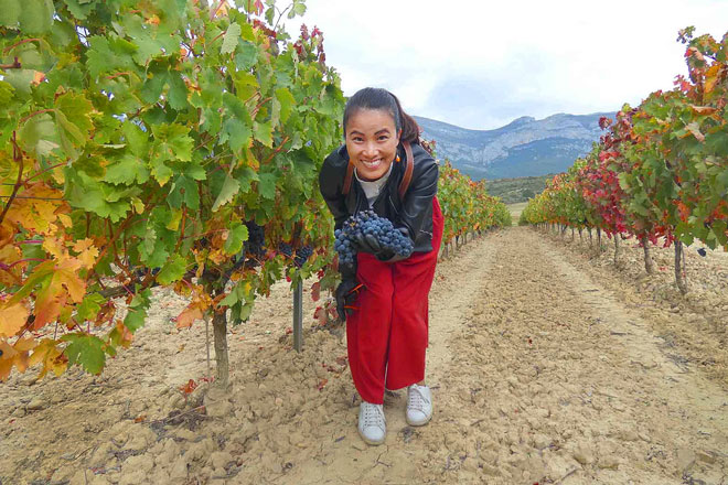 enoturismo, vendimia, Rioja Alavesa, en familia